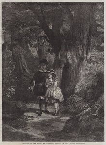 Bambini nel bosco